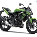Kawasaki-Z250SL-Naked-2014-001