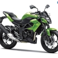 Kawasaki-Z250SL-Naked-2014-002