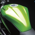 Kawasaki-Z250SL-Naked-2014-006