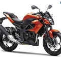 Kawasaki-Z250SL-Naked-2014-010