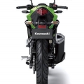 Kawasaki-Z250SL-Naked-2014-011