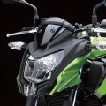 Kawasaki-Z250SL-Naked-2014-012