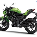 Kawasaki-Z250SL-Naked-2014-014