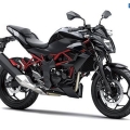 Kawasaki-Z250SL-Naked-2014-017