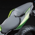 Kawasaki-Z250SL-Naked-2014-019