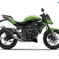 Kawasaki-Z250SL-Naked-2014-024