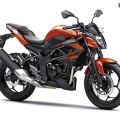 Kawasaki-Z250SL-Naked-2014-026