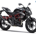 Kawasaki-Z250SL-Naked-2014-029