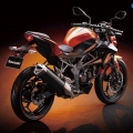 Kawasaki-Z250SL-Naked-2014-030