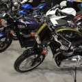 TriumphStandi-Motosiklet-Fuari-2014-021