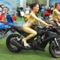 MarantaStandi-MotosikletFuari-2014-009