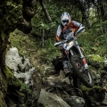 KTM-Freeride-250-R-011