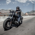 2014-Harley-Davidson-Fat-Bob-017