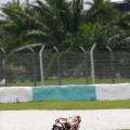 Marco-Simoncelli-20-Ocak1987-23-Ekim2011-022