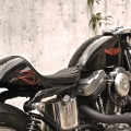 Hidemo-Sportster-005