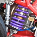 Ducati-916-Superbike-Radical-008