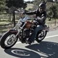 Harley-Davidson-Sportster-1200-017