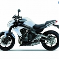 Kawasaki-ER-6N-2012-012