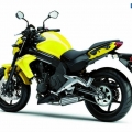 Kawasaki-ER-6N-2012-024