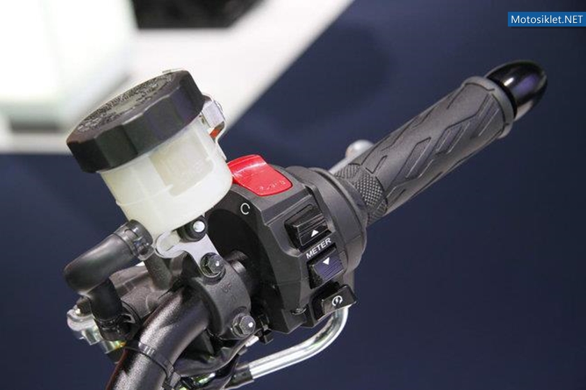 Suzuki-Virus-1000-002