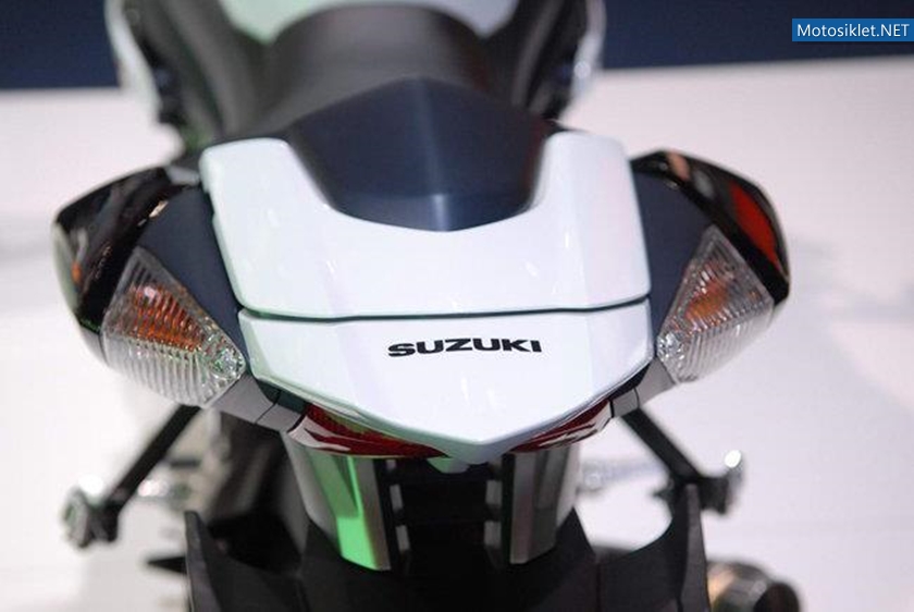 Suzuki-Virus-1000-006