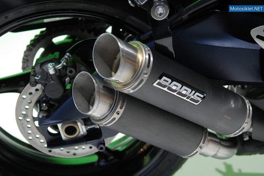 Suzuki-Virus-1000-022