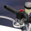 Suzuki-Virus-1000-009