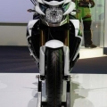 Suzuki-Virus-1000-011