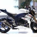 Suzuki-Virus-1000-021