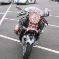 Predator-Hayabusa-007