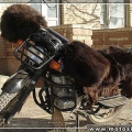 En-Kotu-Motosikletler-001