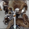 En-Kotu-Motosikletler-023