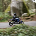bmw-g310r-breaks-cover-looks-perfect-video-photo-gallery_25