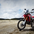 17YM CRF250 Rally