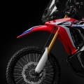 17YM CRF250 Rally