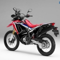 17YM CRF250 Rally