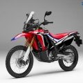 honda-crf250-rally_4
