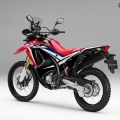 honda-crf250-rally_5