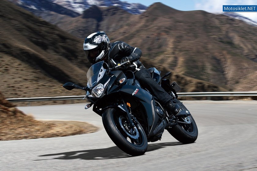 suzuki-gsx250r-2017_10