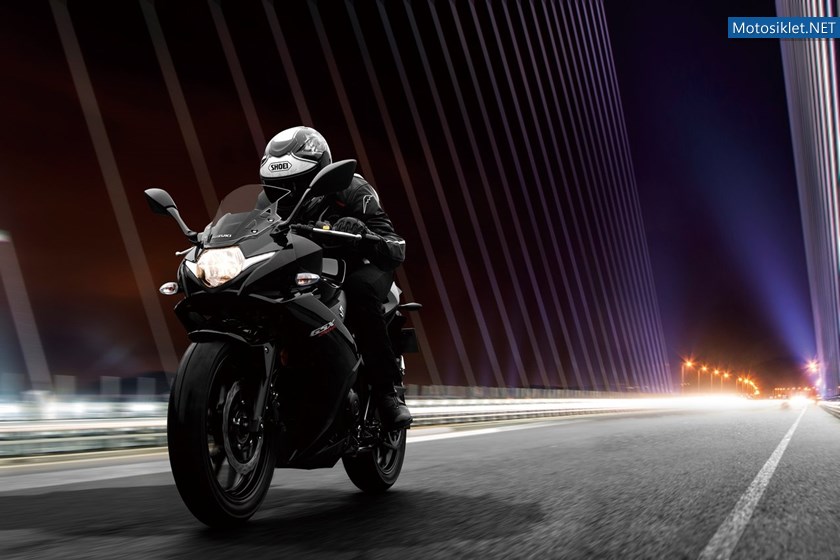 suzuki-gsx250r-2017_11