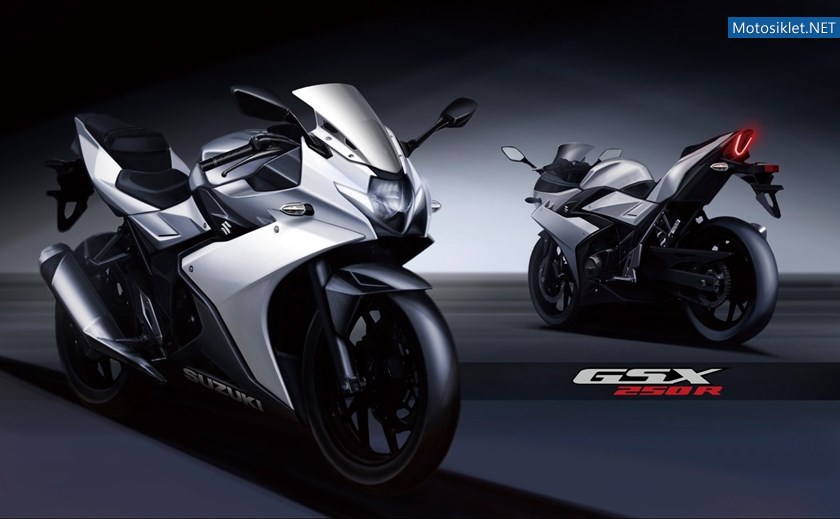 suzuki-gsx250r-2017_5