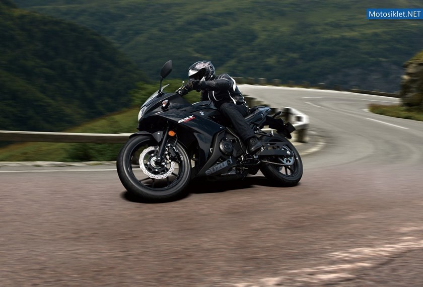 suzuki-gsx250r-2017_8