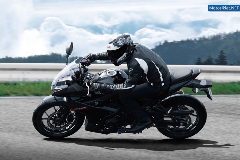 suzuki-gsx250r-2017_9