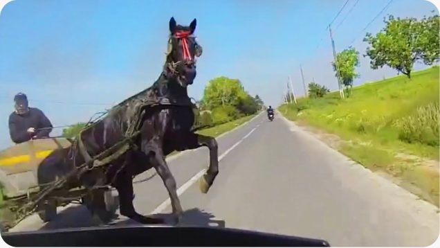 Motosikletin önüne aniden at arabası atladı
