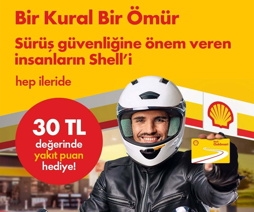 shell.jpg